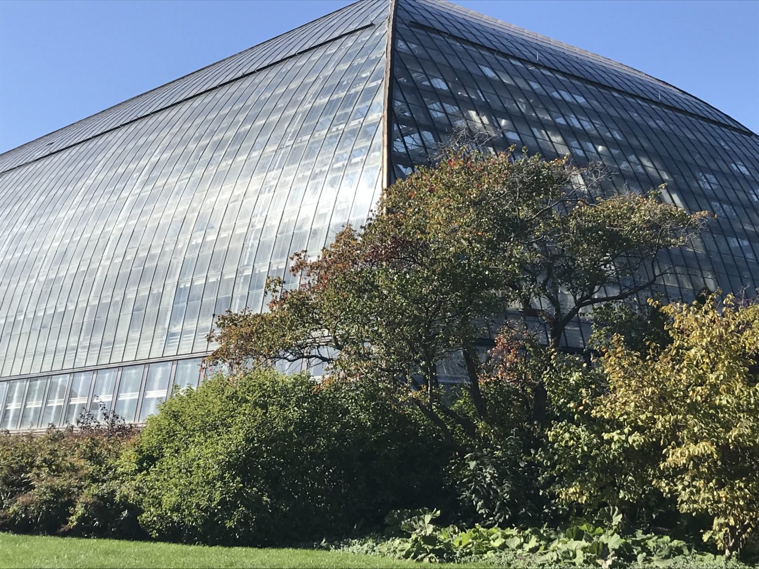 Garfield Park Conservatory